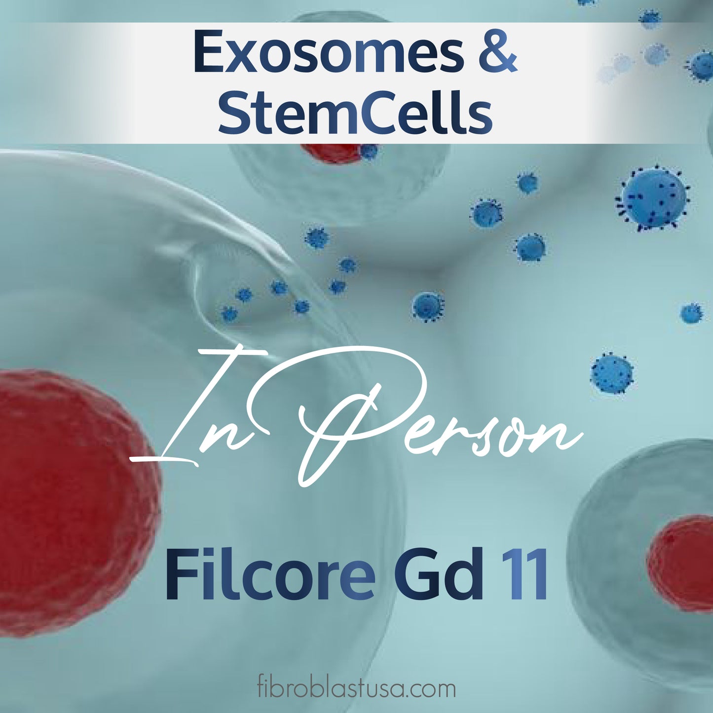 Exosomas y células madre Filcore Training 