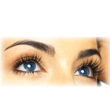 Load image into Gallery viewer, Berrywell 5.1  Chestnut - Eyebrow and Eyelash Dye