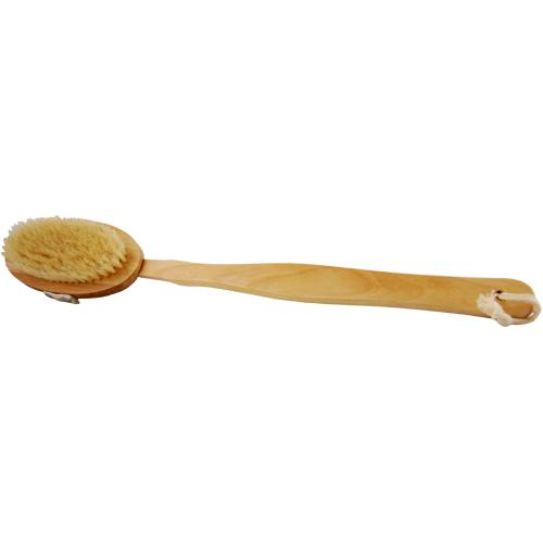 BODY BRUSH WITH REMOVABLE HANDLE