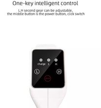 Load image into Gallery viewer, Fogger Mini Digital
