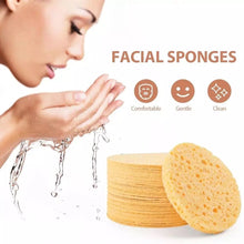 Load image into Gallery viewer, SPONGES COMPRESSED CELLULOSE YELLOW - 24ct
